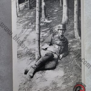#2256 – German WWII Luftwaffe Soldier Resting in Woodland – Original Period Photograph
