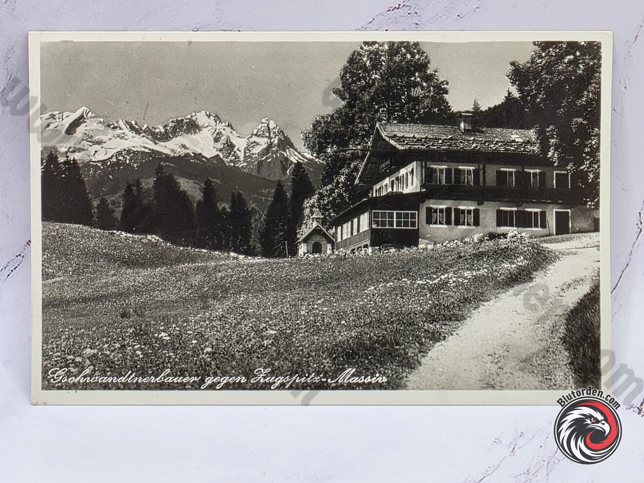 #2639-194-01