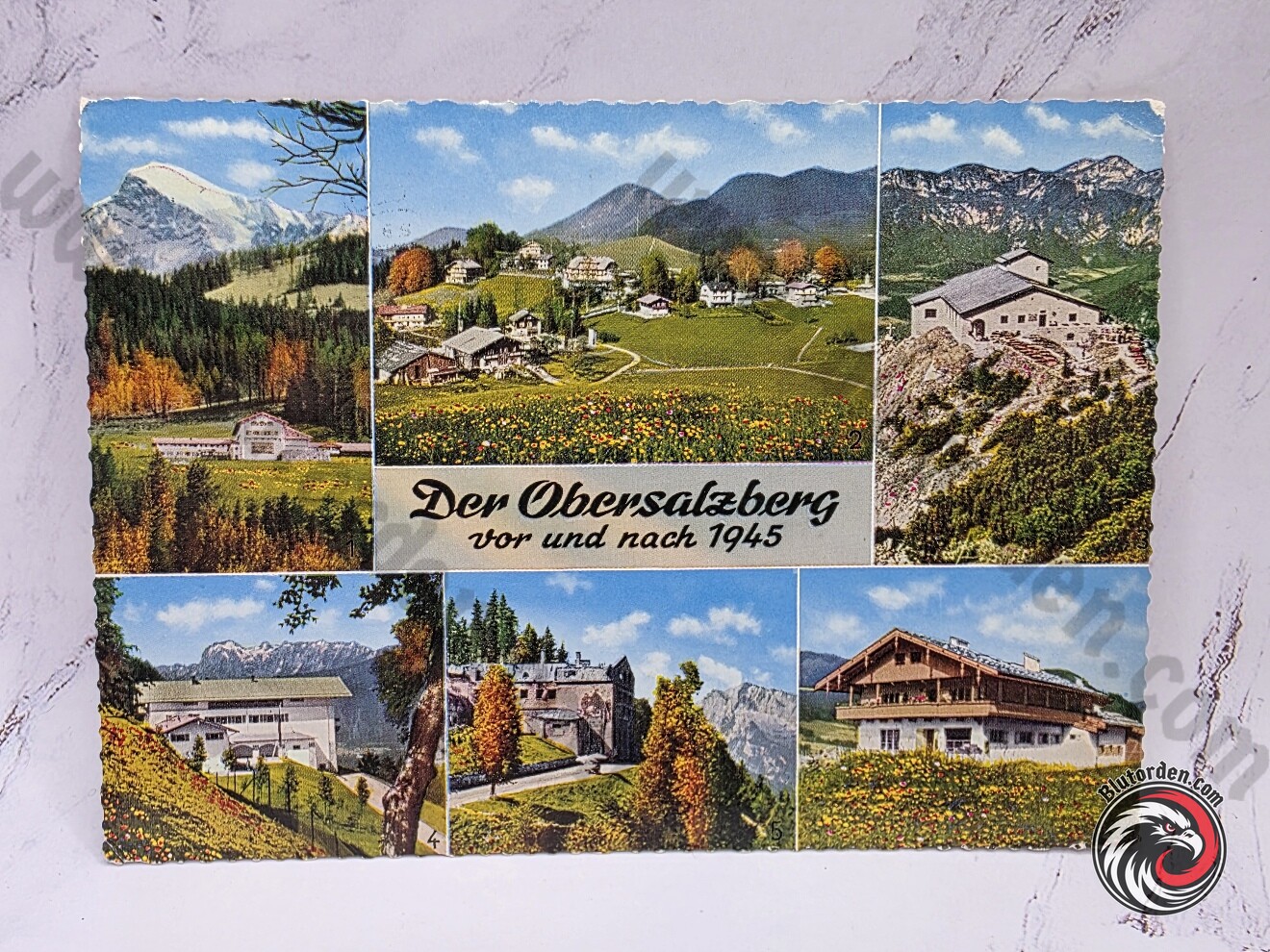 #2639-217-01