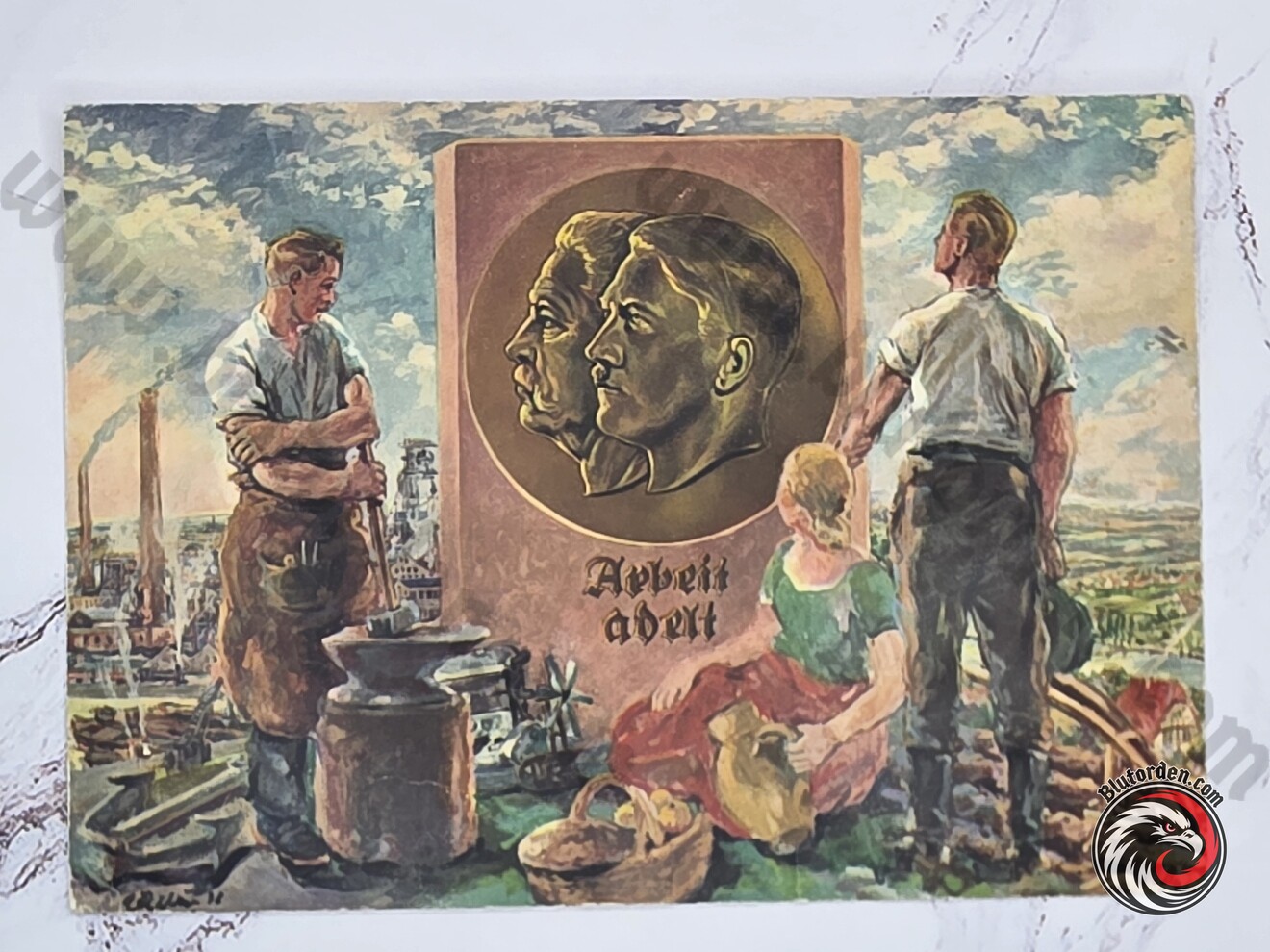 #2639-255-01